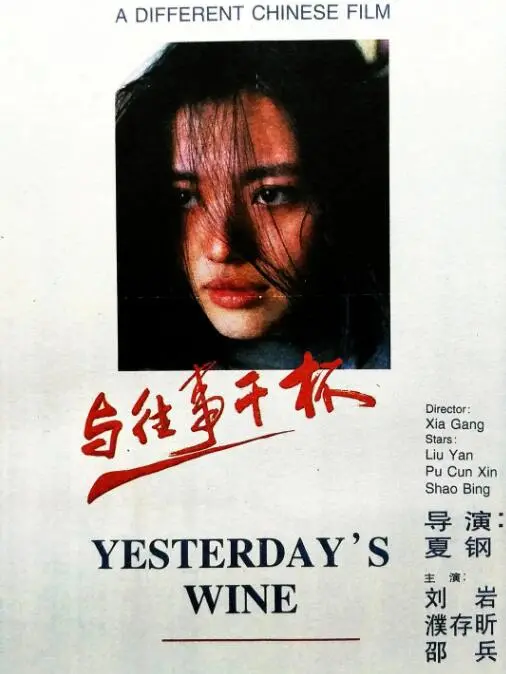 《与往事干杯》：一部关于告别与重生的治愈系电影，品味人生百味