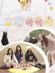 《台湾萌萌的》：一场穿越时空的浪漫邂逅，揭秘被遗忘的权臣与萌宠的奇妙羁绊