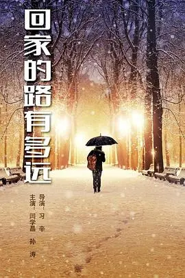 穿越风雨的回家之旅：《回家的路有多远》探索亲情与人生深意